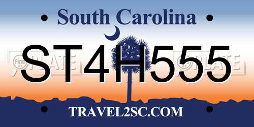 ST4H555 South Carolina License Plate