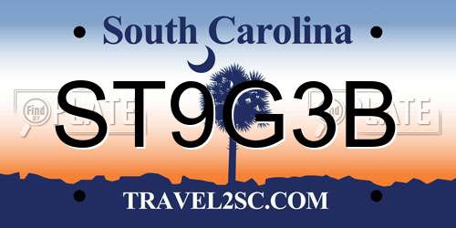 ST9G3B South Carolina License Plate