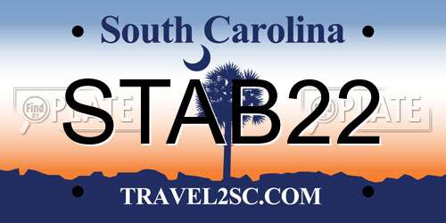 STAB22 South Carolina License Plate