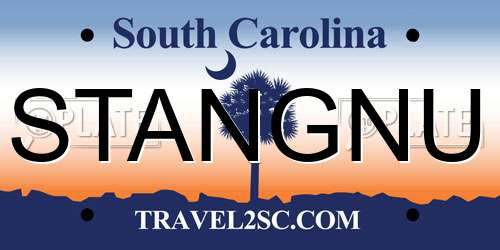 STANGNU South Carolina License Plate