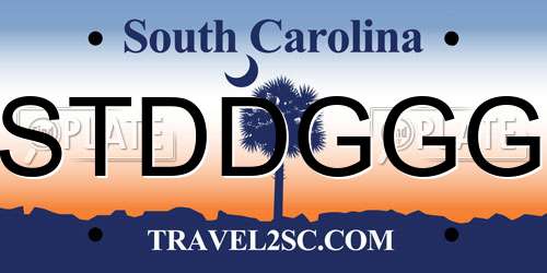 STDDGGG South Carolina License Plate