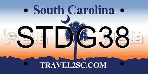 STDG38 South Carolina License Plate