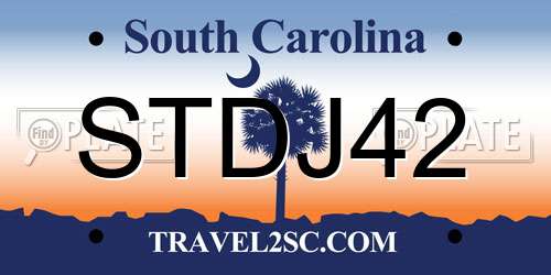 STDJ42 South Carolina License Plate