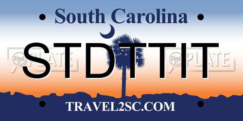 STDTTIT South Carolina License Plate