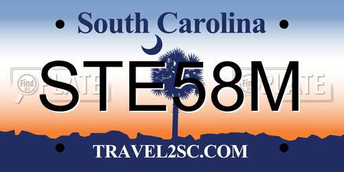 STE58M South Carolina License Plate