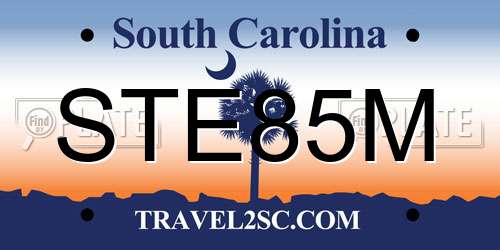 STE85M South Carolina License Plate