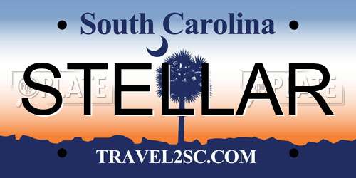 STELLAR South Carolina License Plate
