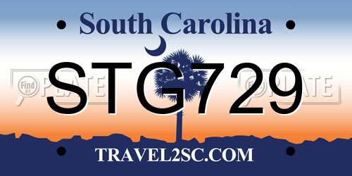 STG729 South Carolina License Plate