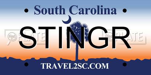 STINGR South Carolina License Plate