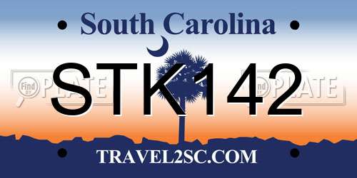 STK142 South Carolina License Plate