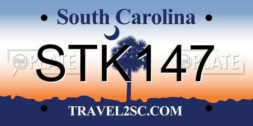 STK147 South Carolina License Plate
