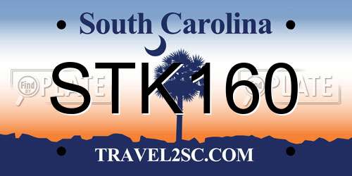 STK160 South Carolina License Plate