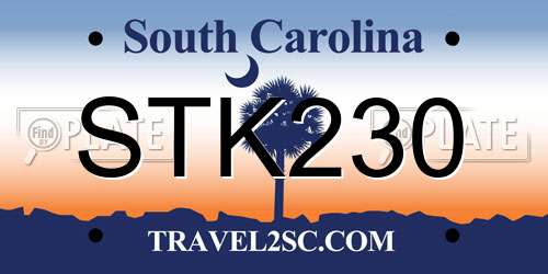 STK230 South Carolina License Plate
