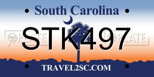 STK497 South Carolina License Plate