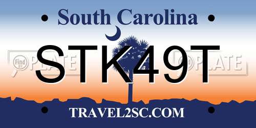 STK49T South Carolina License Plate