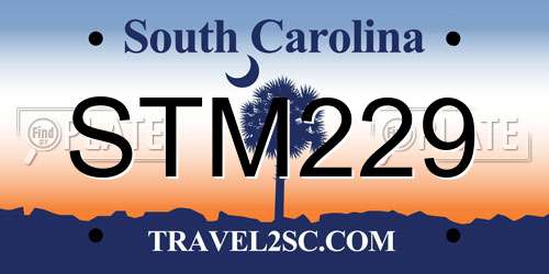 STM229 South Carolina License Plate