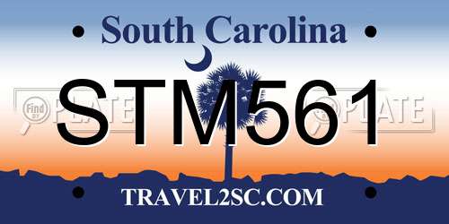 STM561 South Carolina License Plate