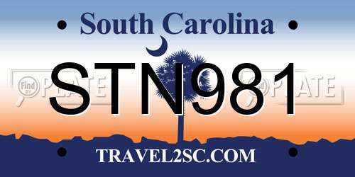 STN981 South Carolina License Plate