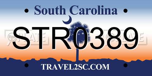 STR0389 South Carolina License Plate