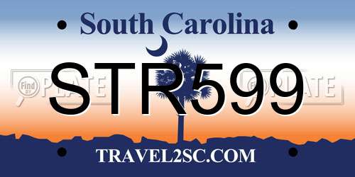 STR599 South Carolina License Plate