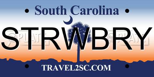 STRWBRY South Carolina License Plate