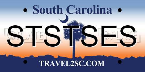 STSTSES South Carolina License Plate