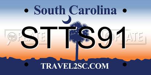STTS91 South Carolina License Plate