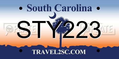STY223 South Carolina License Plate