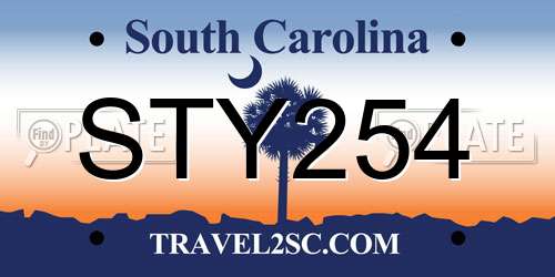 STY254 South Carolina License Plate
