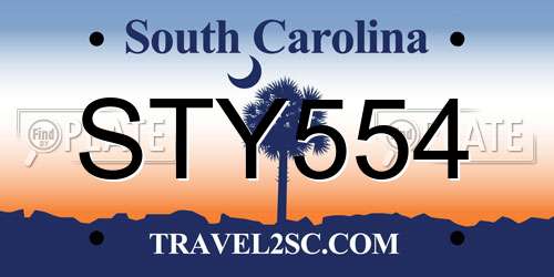 STY554 South Carolina License Plate