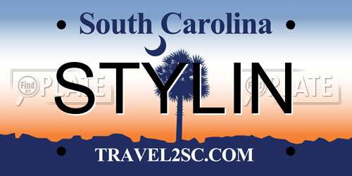 STYLIN South Carolina License Plate