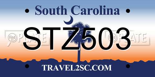 STZ503 South Carolina License Plate