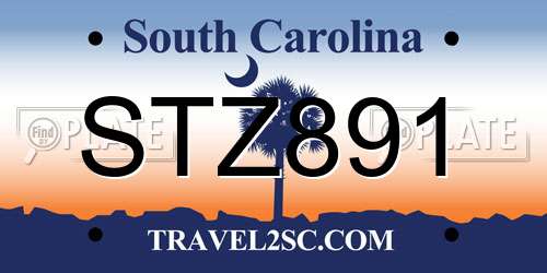 STZ891 South Carolina License Plate