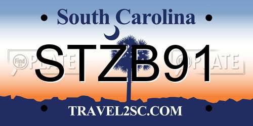 STZB91 South Carolina License Plate
