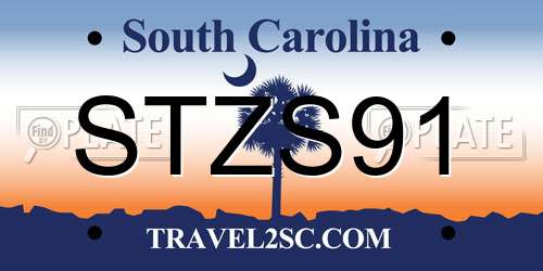STZS91 South Carolina License Plate