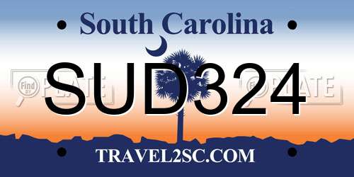 SUD324 South Carolina License Plate