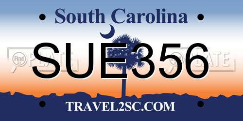 SUE356 South Carolina License Plate
