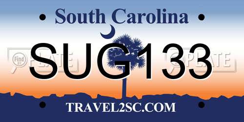 SUG133 South Carolina License Plate