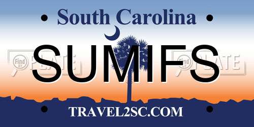 SUMIFS South Carolina License Plate
