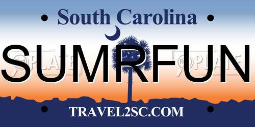 SUMRFUN South Carolina License Plate