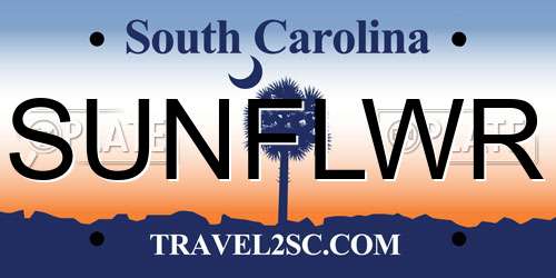 SUNFLWR South Carolina License Plate
