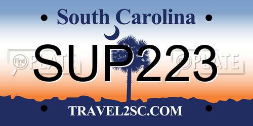 SUP223 South Carolina License Plate