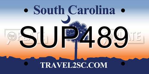 SUP489 South Carolina License Plate