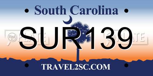 SUR139 South Carolina License Plate