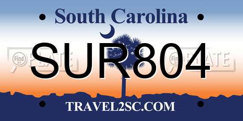 SUR804 South Carolina License Plate