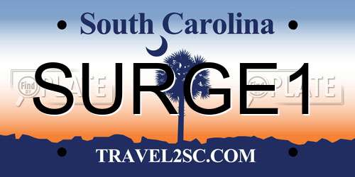 SURGE1 South Carolina License Plate
