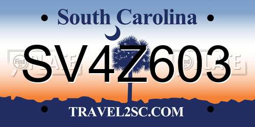SV4Z603 South Carolina License Plate