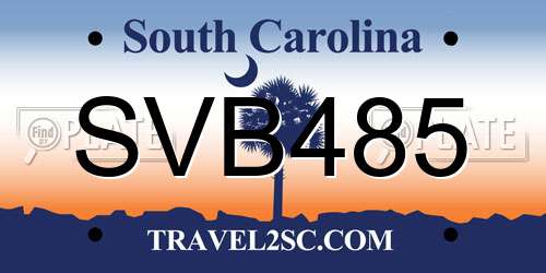 SVB485 South Carolina License Plate
