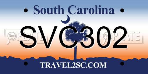 SVC302 South Carolina License Plate