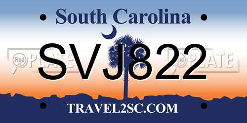 SVJ822 South Carolina License Plate